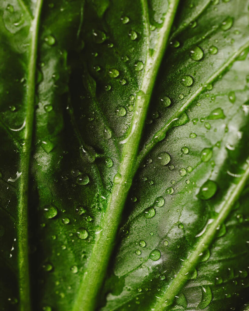 banner-1